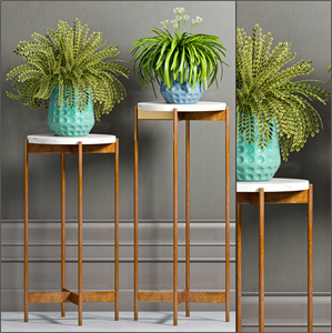 PLANT-40